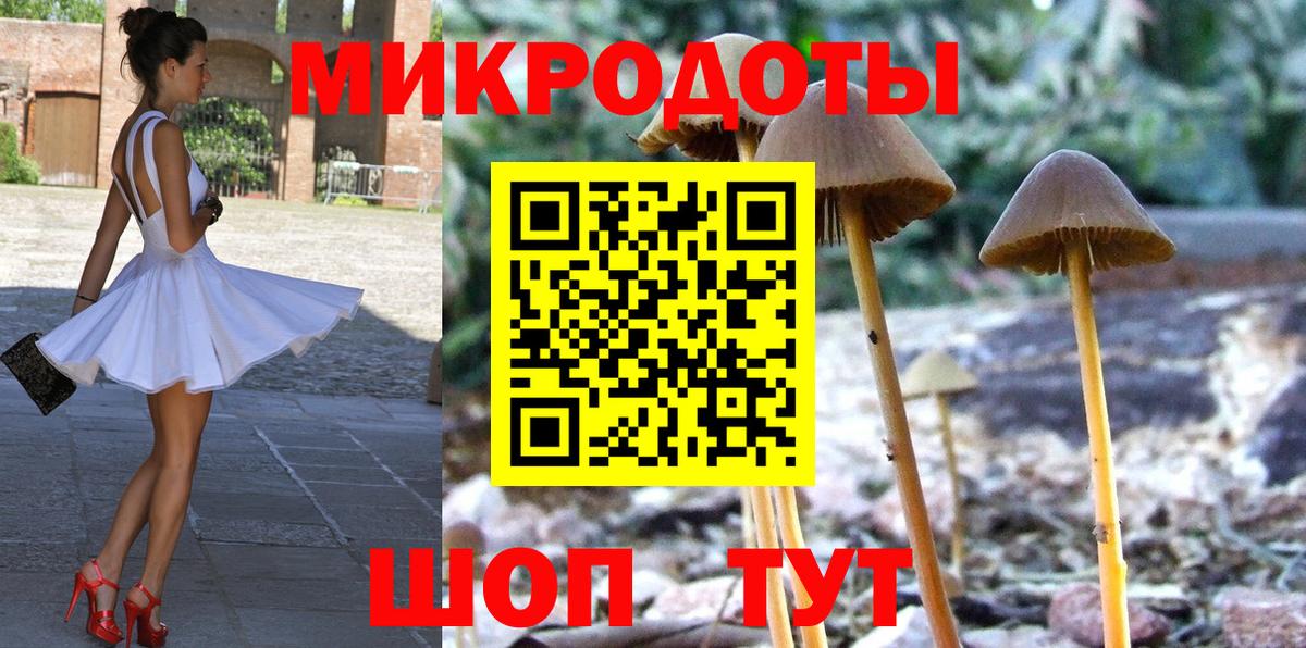 Псилоцибиновые грибы GOLDEN TEACHER Кинель