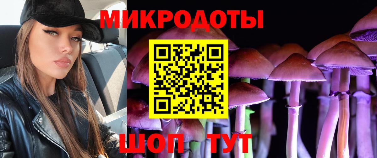 хочу   Псилоцибиновые грибы MAGIC MUSHROOMS  Вход с VPN  Галлюциногенные грибы Magic Shrooms  Кинель 